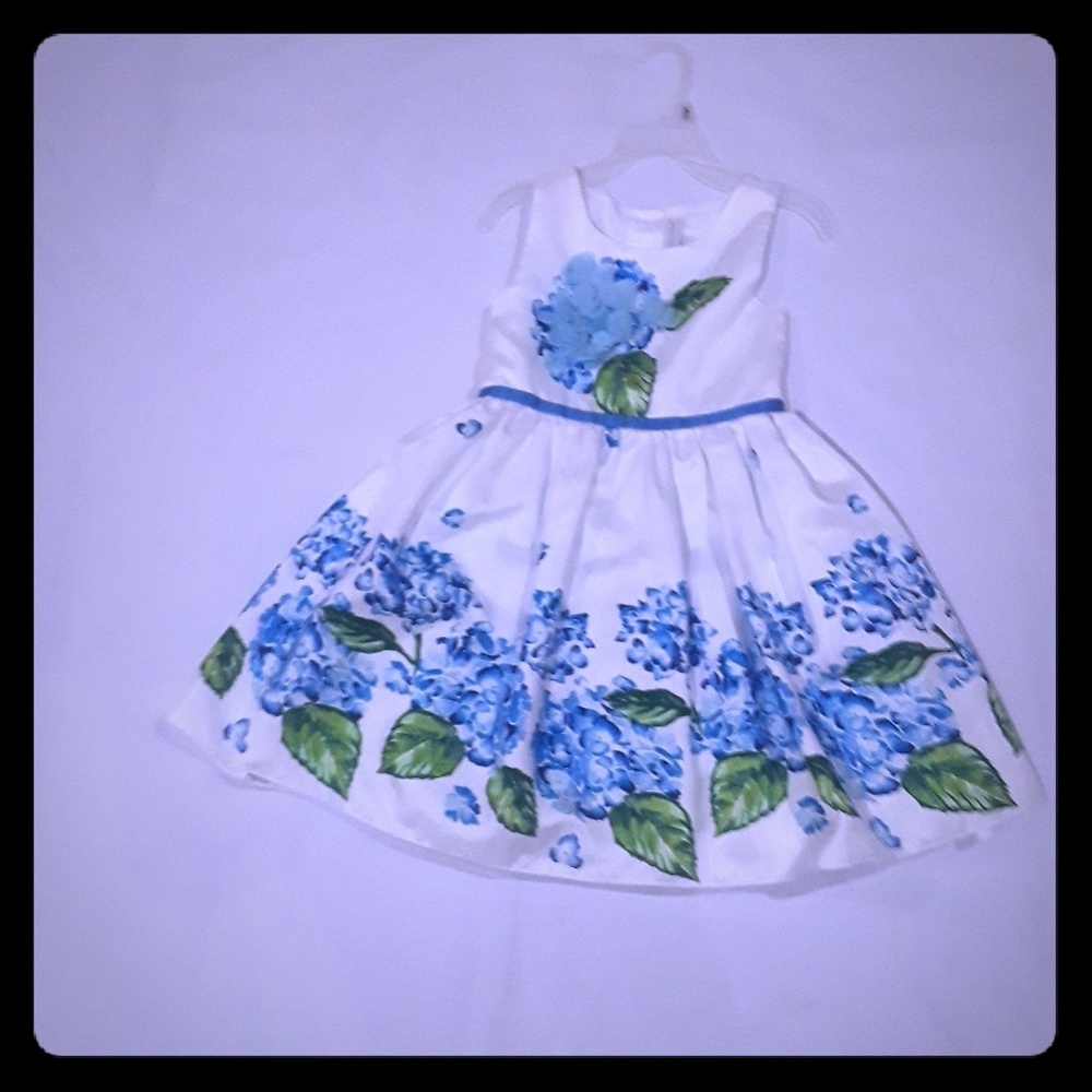 Girl's Spring Dress